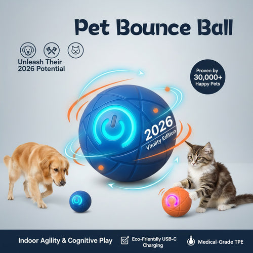 Pet Bounce Ball
