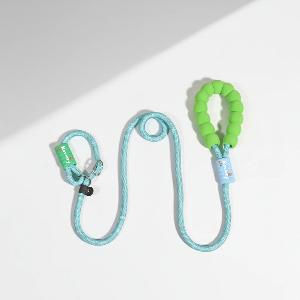 Cloud-Soft Control P-Leash