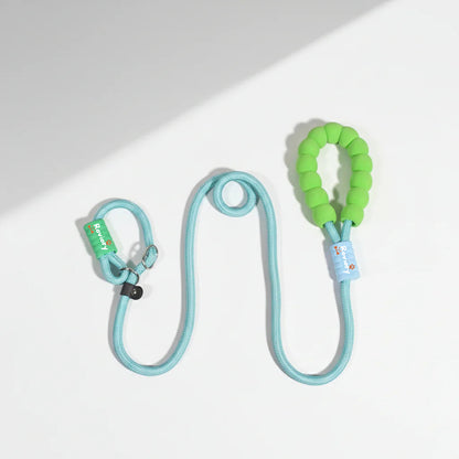 Cloud-Soft Control P-Leash