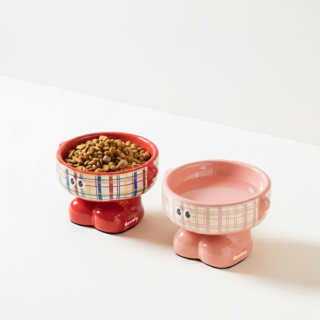 Elevated Ceramic Feeding Bowl