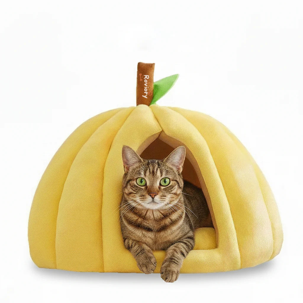 Enclosed Pumpkin Comfort Retreat