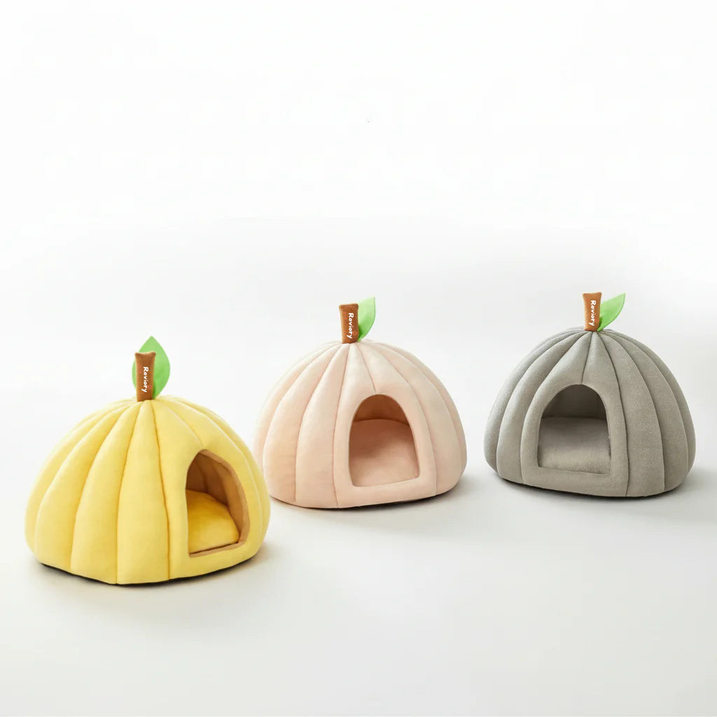 Enclosed Pumpkin Comfort Retreat