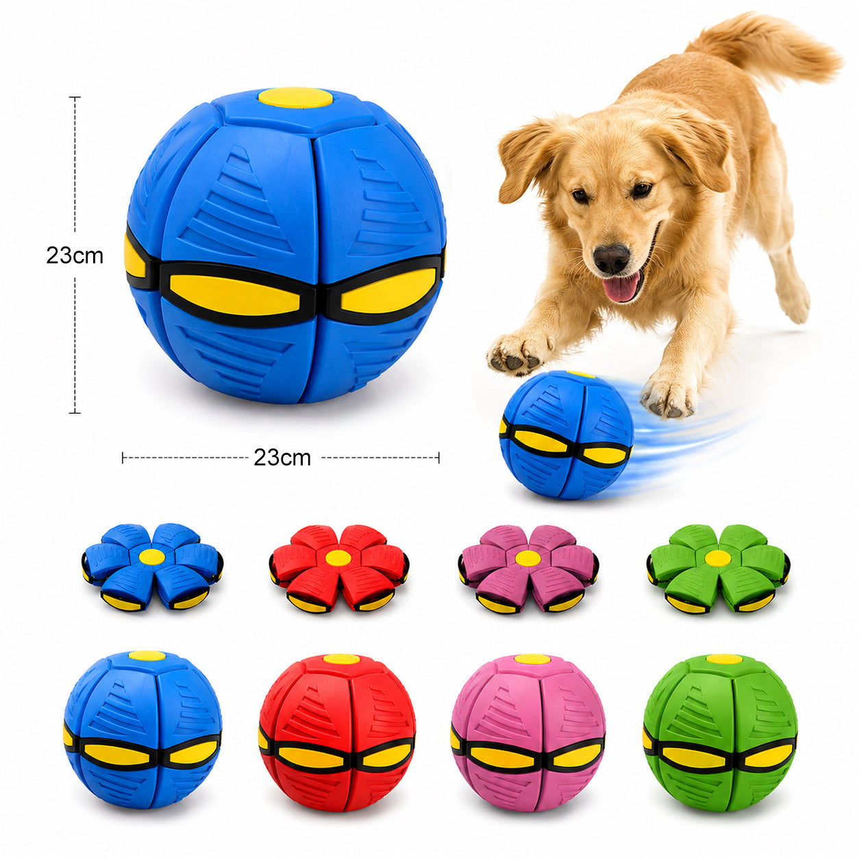 Interactive Frisbee & Chase Ball Toy🐕