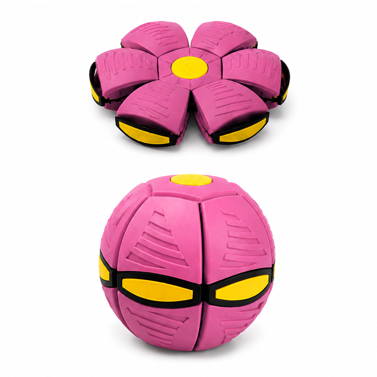 Interactive Frisbee & Chase Ball Toy🐕