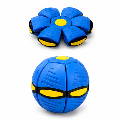 Interactive Frisbee & Chase Ball Toy🐕