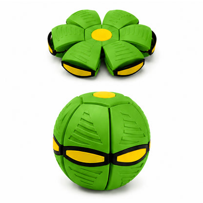 Interactive Frisbee & Chase Ball Toy🐕