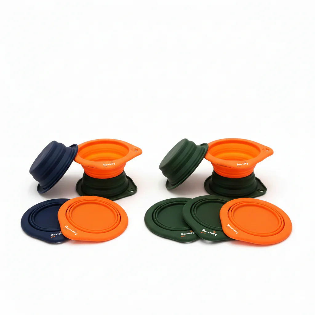 Collapsible Silicone Travel Bowl