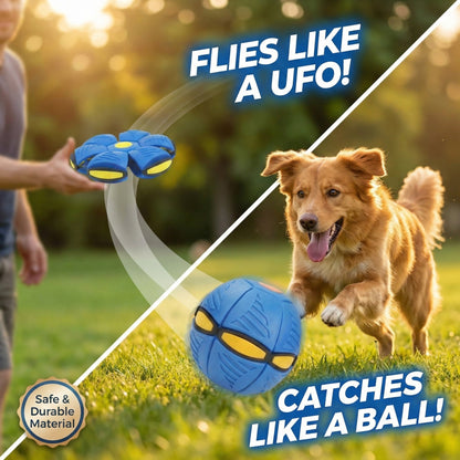 Interactive Frisbee & Chase Ball Toy🐕