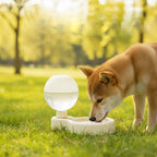 Minimalist Travel Hydration Flask