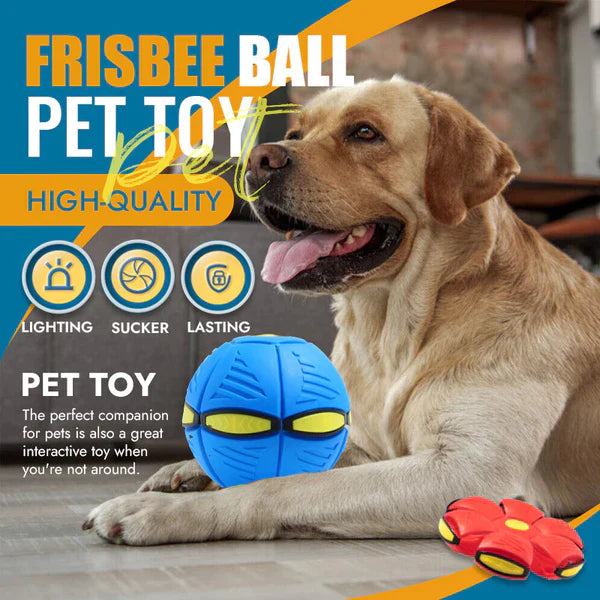 Interactive Frisbee & Chase Ball Toy🐕
